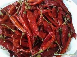 Dry Red Chiles