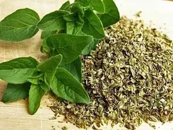 Dried Oregano Leaves, Packaging Type: Craft Bag, Packaging Size: 10 Kg Craft Bags