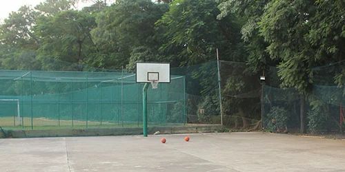 Basketball Court