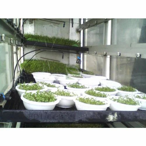 Rectangular EFT-MS-54 Automatic Hydroponic Sprouts Machine, Capacity: 54 Trays