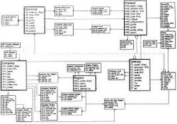 Data Modeling Services