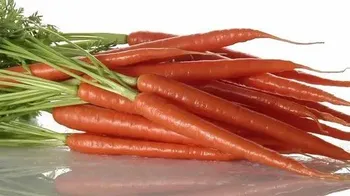 Carrot Pulp, Packaging: Drum