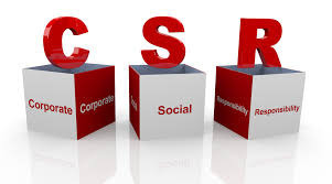 CSR Planning & Implement Service