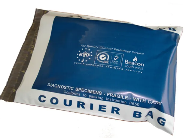 Printed Courier Bag Envelope