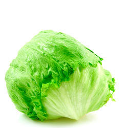 Iceberg Lettuce