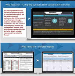 Web Research Service