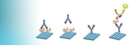 Pharmaceutical Microbiology Testing