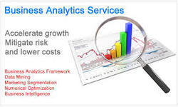 Business Analytic Services