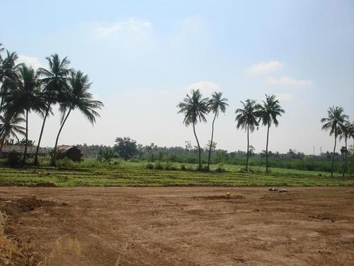 Agriculture Land Dealing Service