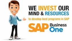 SAP Consultants