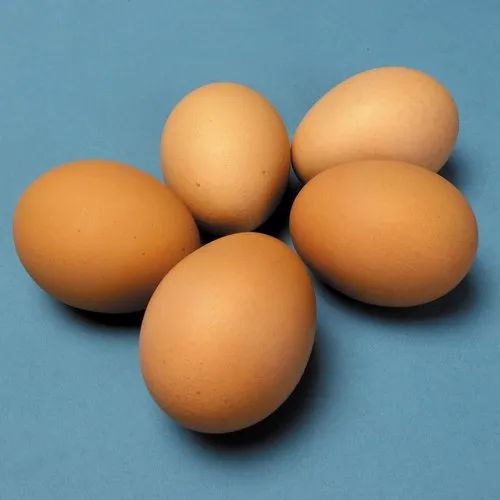 White Poultry Eggs