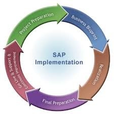 Sap Product Sales & Implementation