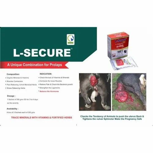 L-Secure Powder Feed Supplement, Packaging Type: Box, Packaging Size: 3 X 200 G