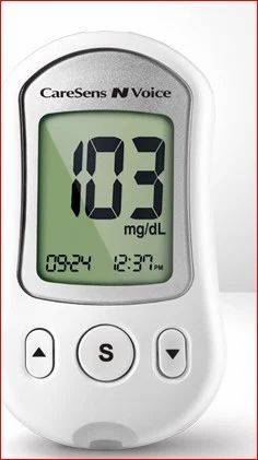 Care Sens N Voice Glucometer