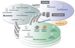 Development of the Organization Structure