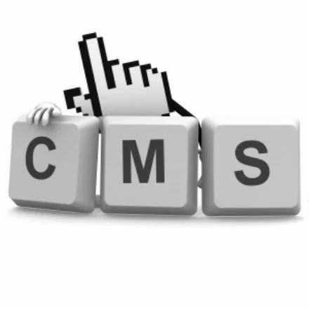 CMS Services