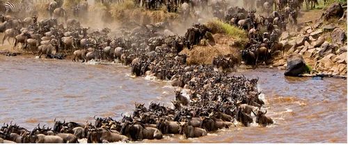 Kenya Holiday Tour Package