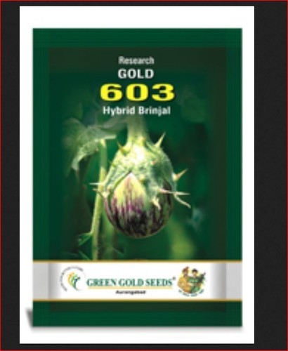 Hybrid Brinjal Gold 603 Seeds