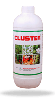 Cluster (Agro Product)