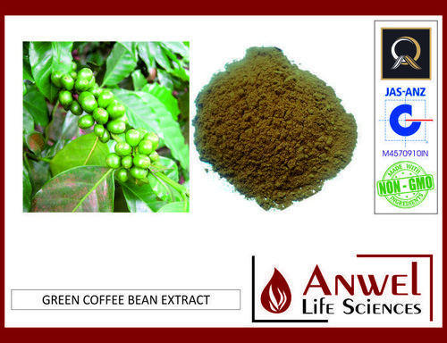 Granules Green Coffee Bean Extracts