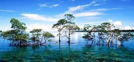 Andaman & Nicobar Islands