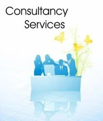 Consulting Services