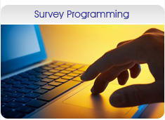 Survey Programming