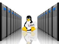 Linux Server Hosting Service