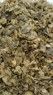 Feed Grade Corn Silage, Packaging Type: Plastic Bag, Packaging Size: 50kg