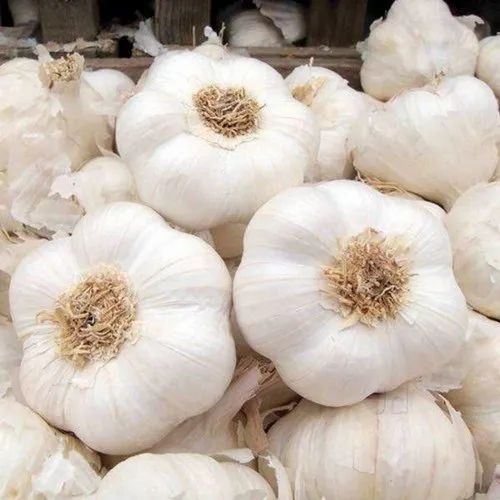 A Grade Fresh White Garlic, Packaging Size: 50 Kg, Garlic Size: 35 Mm