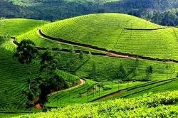 Munnar Tour