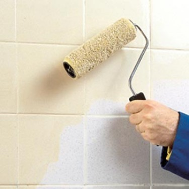 Hygienic Wall Coating Service