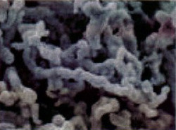 Cobalt Metal Powder-extrafine