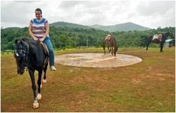 Horse Riding Services