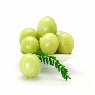 Fresh Amla