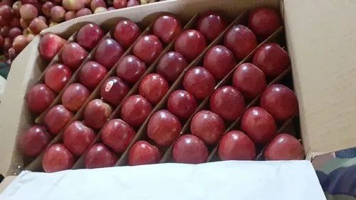 A Grade South African Carmine Apple, Packaging Size: 20kg, Packaging Type: Carton