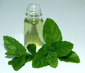 Mint Citrata Oil, Purity: 100%, 50ml