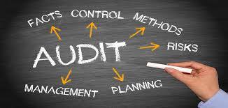 Management Audit