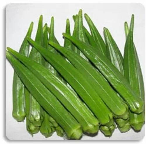 Natural Green FBH - 10299 Okra Hybrids, For Agriculture