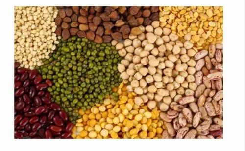 Pulses Or Lentils