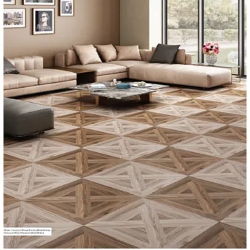 Matt Rak Ceramic Floor Tile, 2x2 Ft (600x600 Mm), Usage Area: Living Room