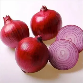 Cold Storage 50 kg A Grade Fresh Red Onion, Net Bag, Onion Size Available: Medium