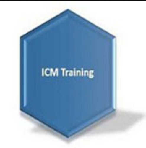 ICM Training Service