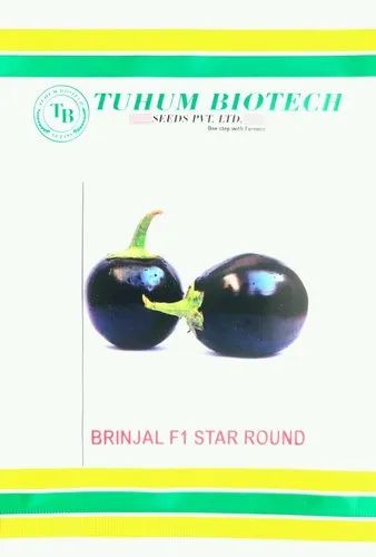 Hybrid Vagetable Seed Brinjal F1star Round, Packaging Size: 7.3x5 Cm