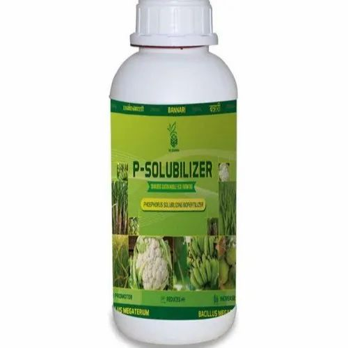 Biofertilizer P-Solubilizer (Phosphobacterium), For Soil Application