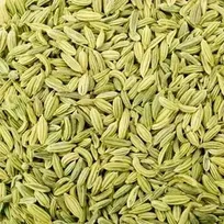 SRK Green Natural Fennel Seeds, Packaging Type: PP BAG, Packaging Size: 30 kg