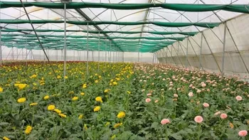 Prefab Dome Shaped Greenhouse