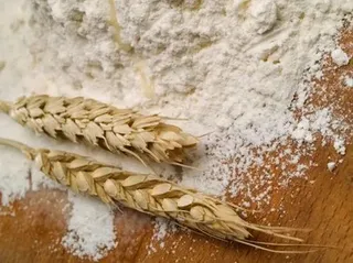 Wheat Flour