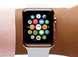 Apple Watch Apps Development Services