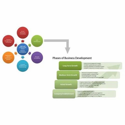 Marketing Strategy Development Service